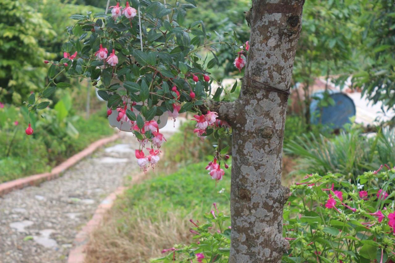 Thang Nam Ruc Ro - Dalat Homestay Екстер'єр фото