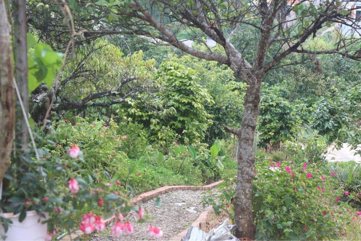 Thang Nam Ruc Ro - Dalat Homestay Екстер'єр фото